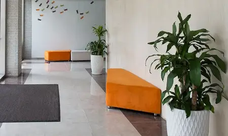 Gröna växter och entrématta på kontor